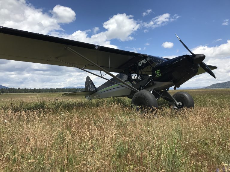 The Planes 1953 Cessna 180, 2016 Backcountry Super Cub, 2018 Carbon